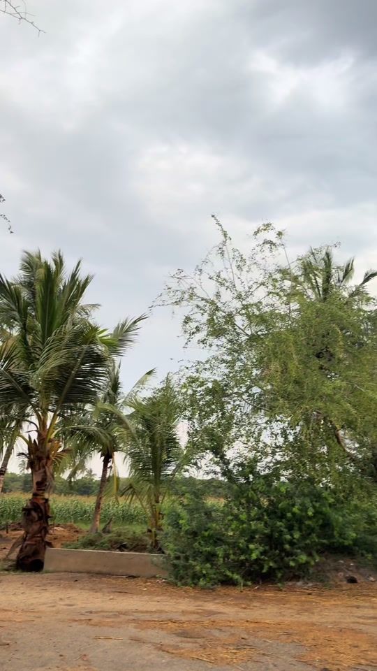 TikTok video thumbnail by syed_zaada_sain