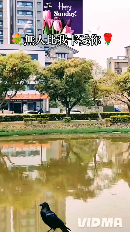 TikTok video thumbnail by user521017652721