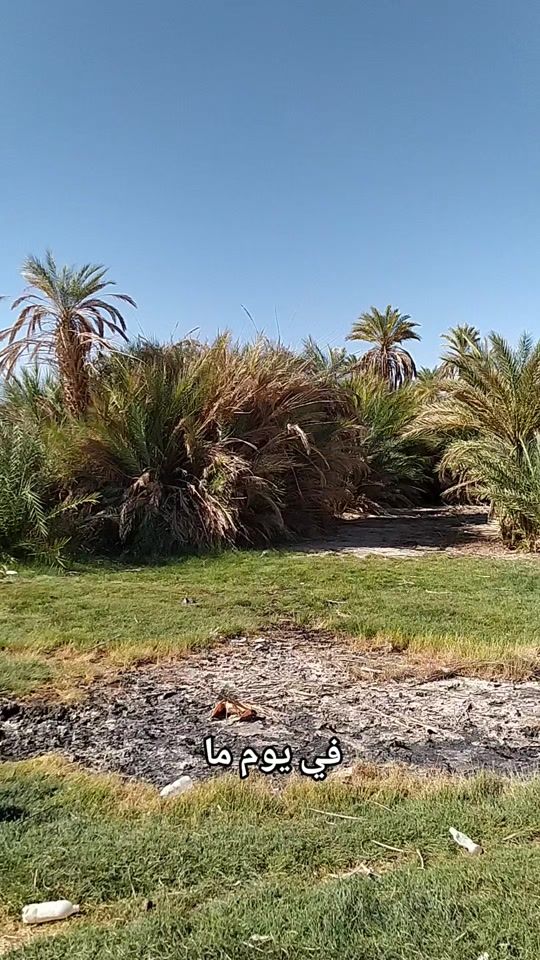 TikTok video thumbnail by user6156586704532