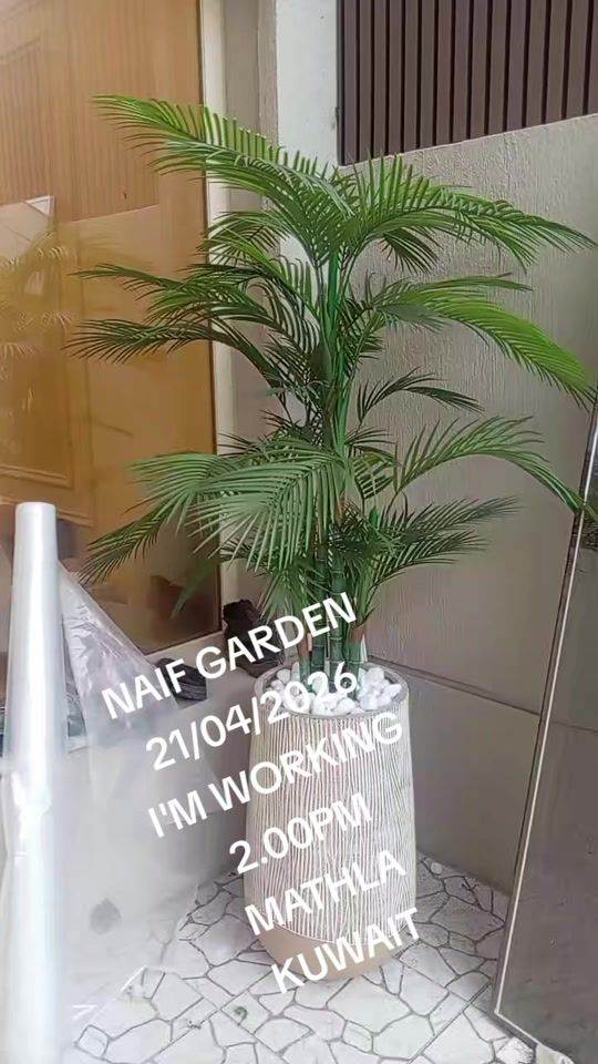 TikTok video thumbnail by user51000939