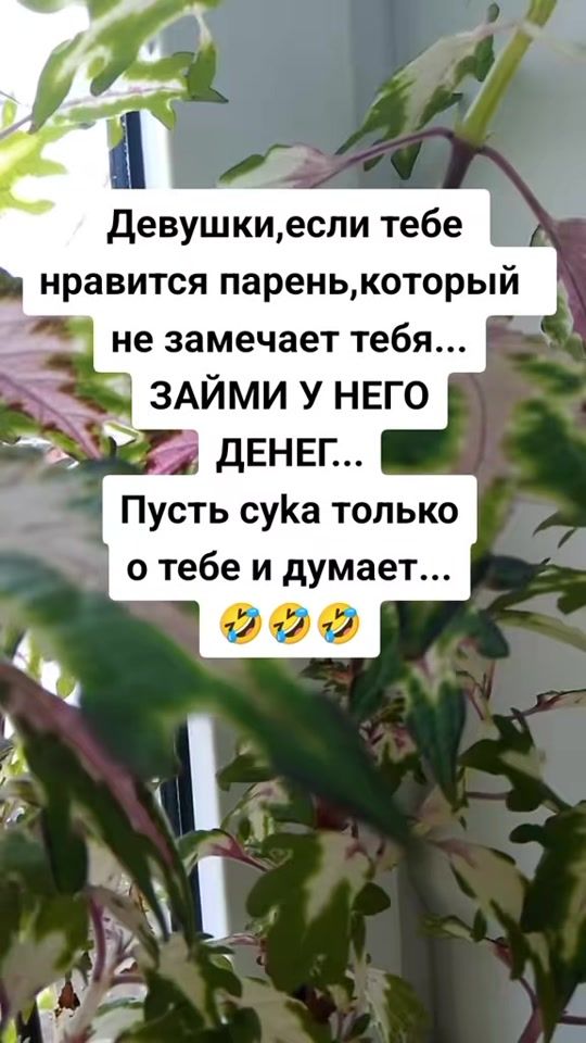 TikTok video thumbnail by sergebsb9ul