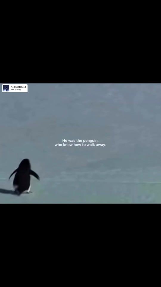 TikTok video thumbnail by f1crazyy