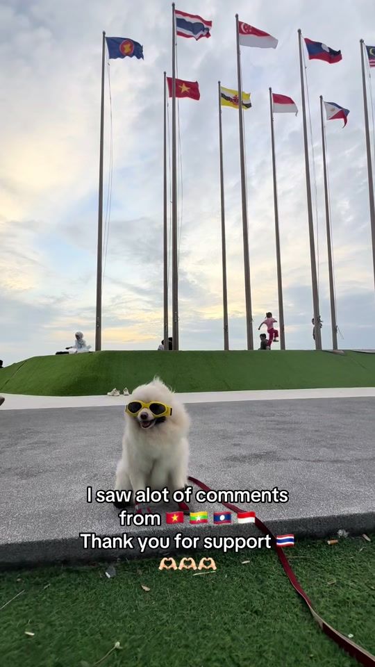 TikTok video thumbnail by namnoawww