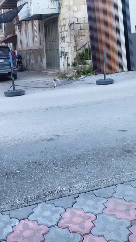 TikTok video thumbnail by soso.ra.8