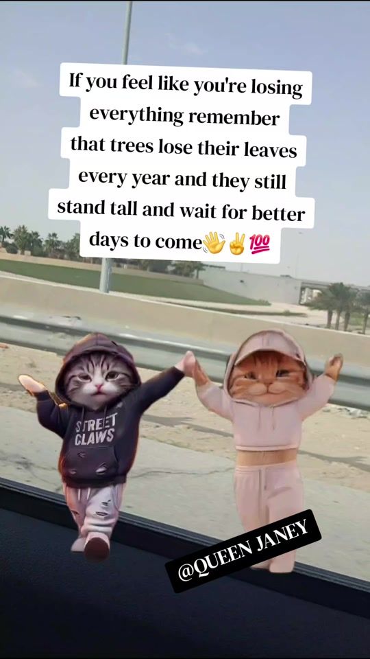 TikTok video thumbnail by humblelady511