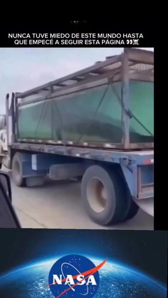 TikTok video thumbnail by pipe.loves