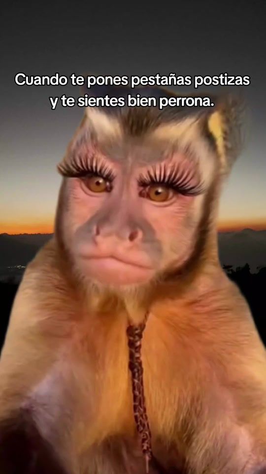 TikTok video thumbnail by joaquinpl_7