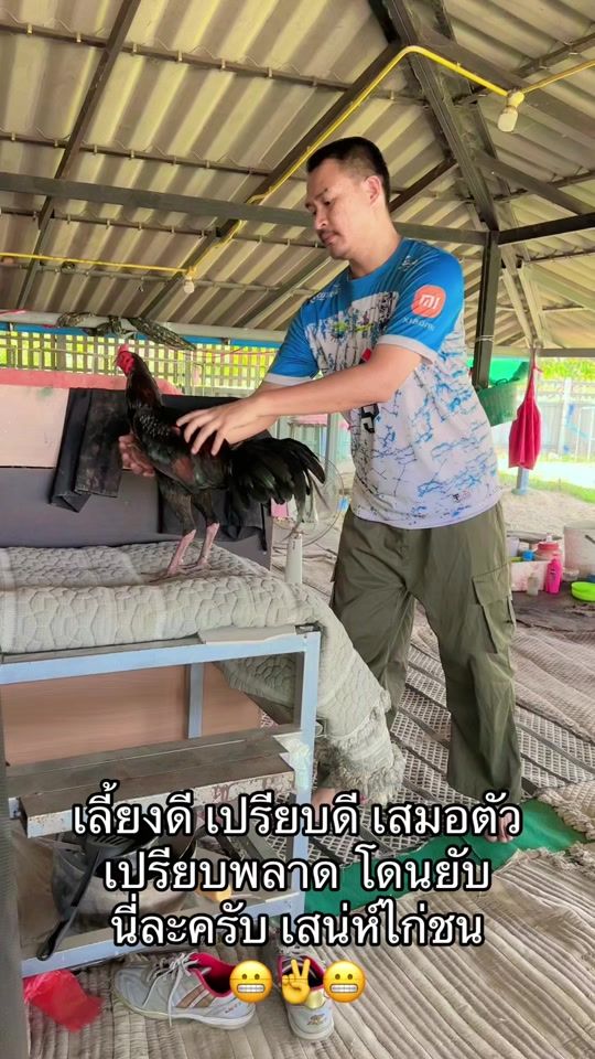 TikTok video thumbnail by kohbasha