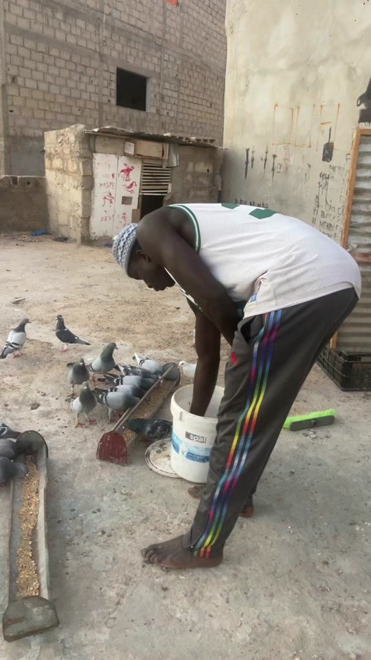 TikTok video thumbnail by ouflydofou.rio.bi