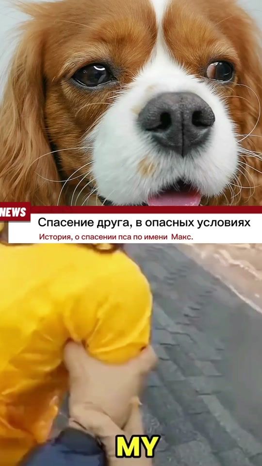 TikTok video thumbnail by charlikus