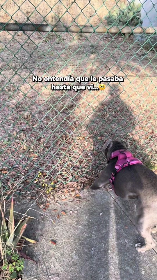 TikTok video thumbnail by cubatheb1tch