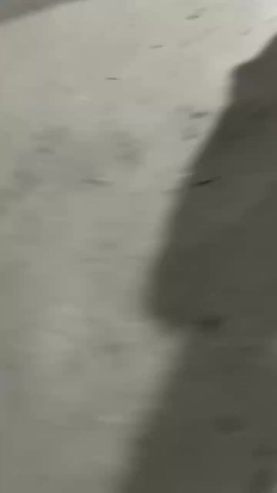TikTok video thumbnail by tingirl625