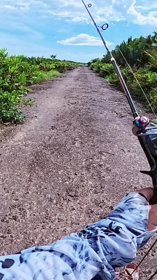 TikTok video thumbnail by akmal_hafriyani