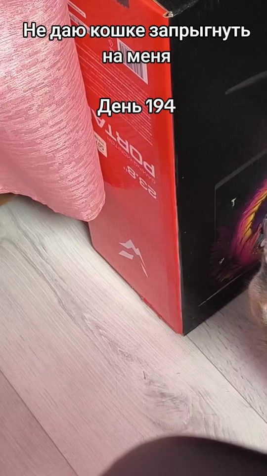 TikTok video thumbnail by serezha.ak