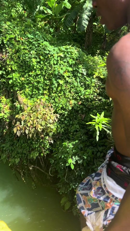 TikTok video thumbnail by grove_swimmers_