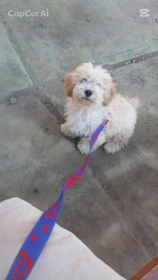 TikTok video thumbnail by mark_bonifaz