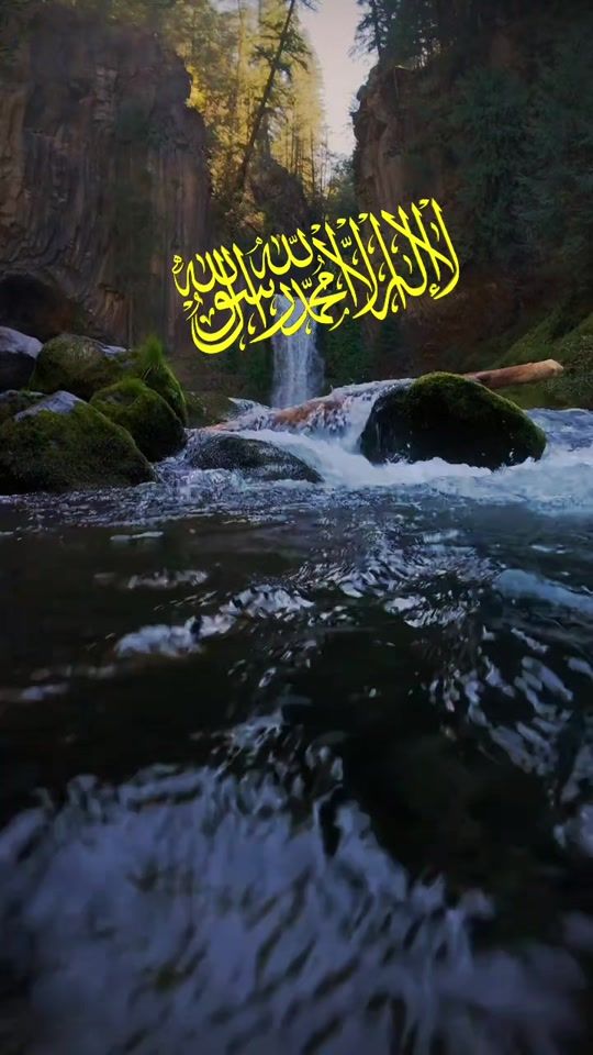 TikTok video thumbnail by user853732072
