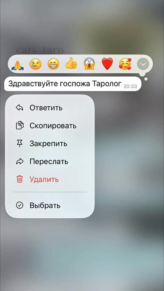 TikTok video thumbnail by cats_taro
