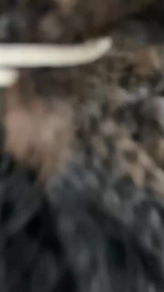 TikTok video thumbnail by c_noko_sasin