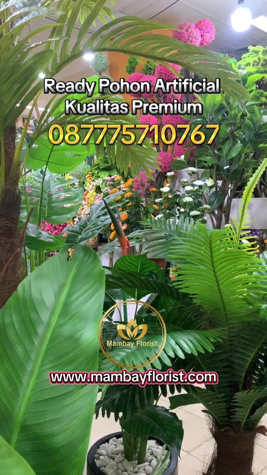 TikTok video thumbnail by mambayflorist