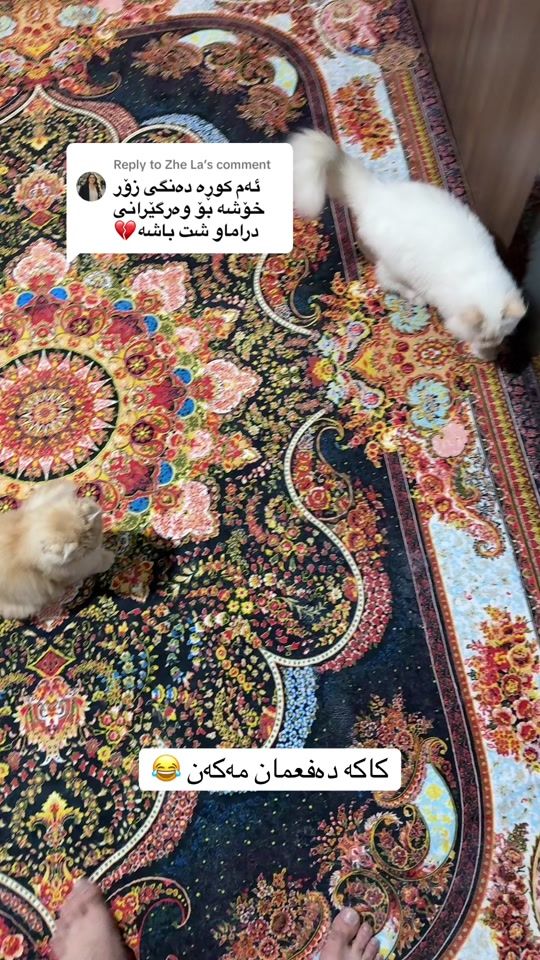 TikTok video thumbnail by l7amal