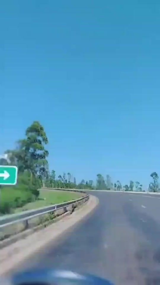 TikTok video thumbnail by elizehebrewlady77