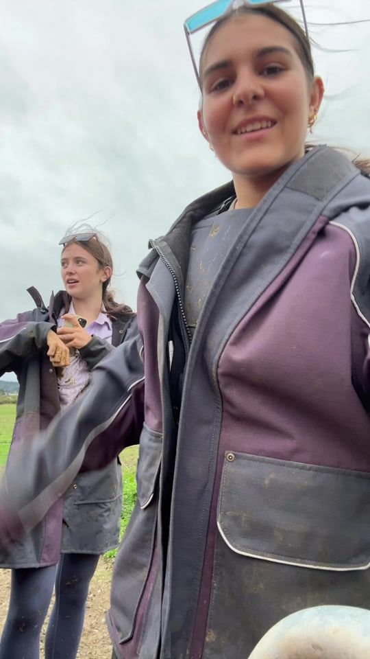 TikTok video thumbnail by alanahsalsone