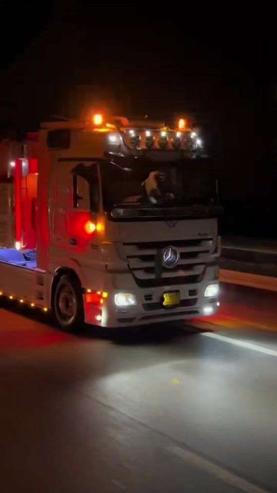 TikTok video thumbnail by user379614986