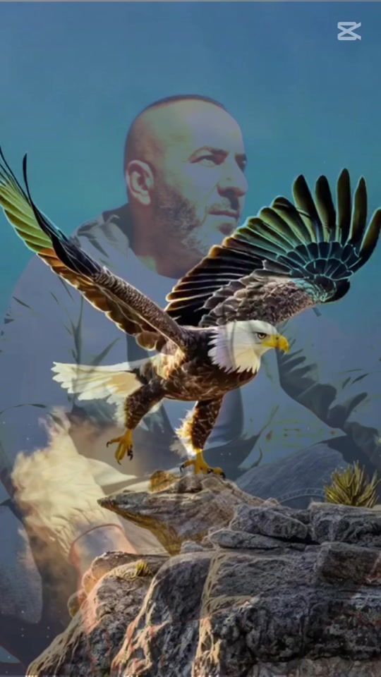 TikTok video thumbnail by blackpepper782