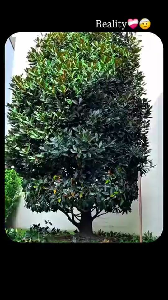 TikTok video thumbnail by war.sujal
