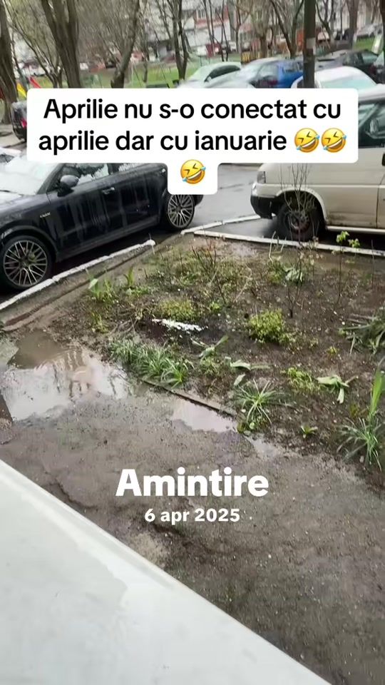 TikTok video thumbnail by alexandru__345