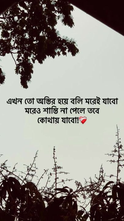 TikTok video thumbnail by jit_baiddya_02