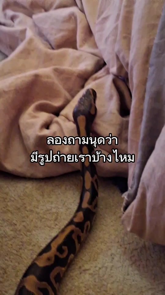 TikTok video thumbnail by smea_645_