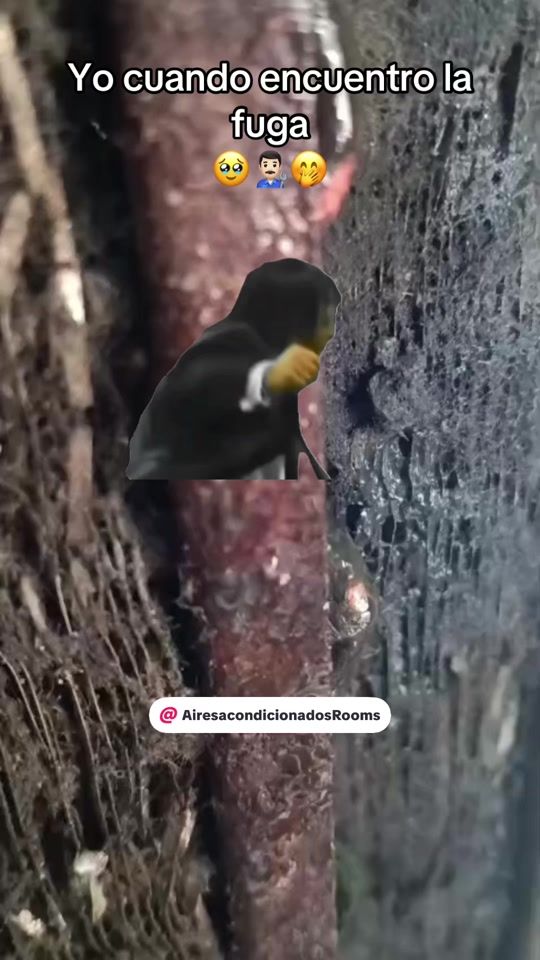 TikTok video thumbnail by aarooms
