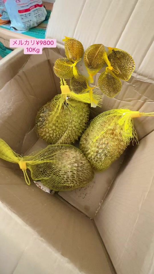 TikTok video thumbnail by mtz8448