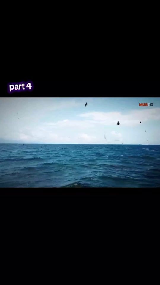 TikTok video thumbnail by ahsan_niazii