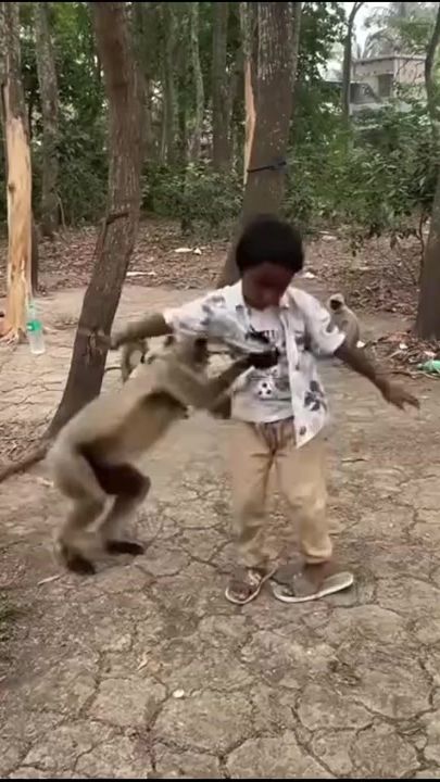 TikTok video thumbnail by binduchaudhary485