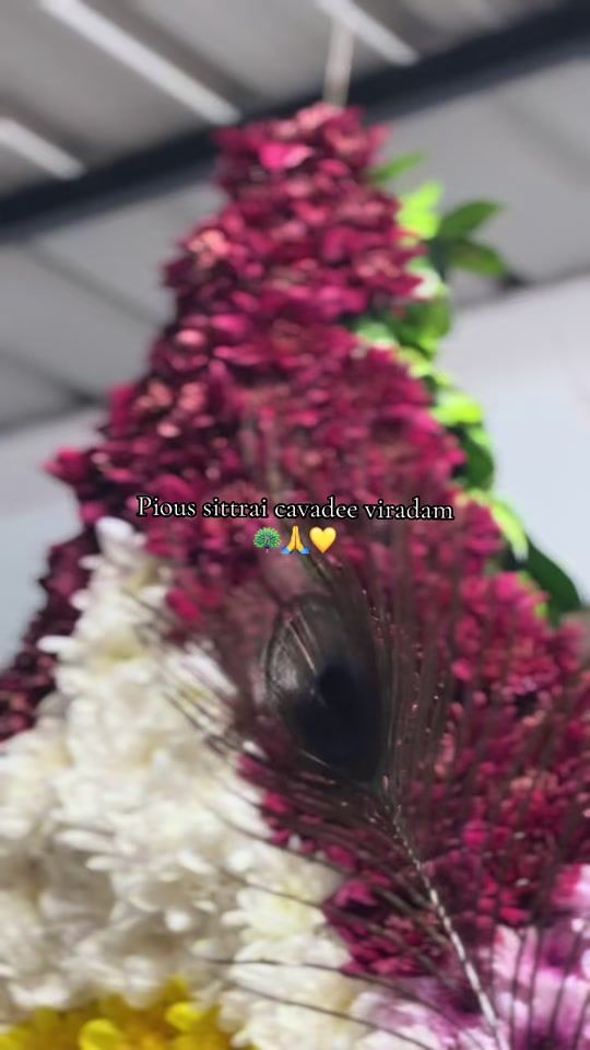 TikTok video thumbnail by geshnii
