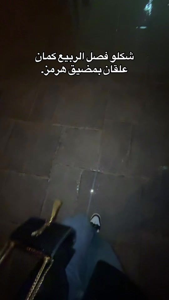 TikTok video thumbnail by kareenballan