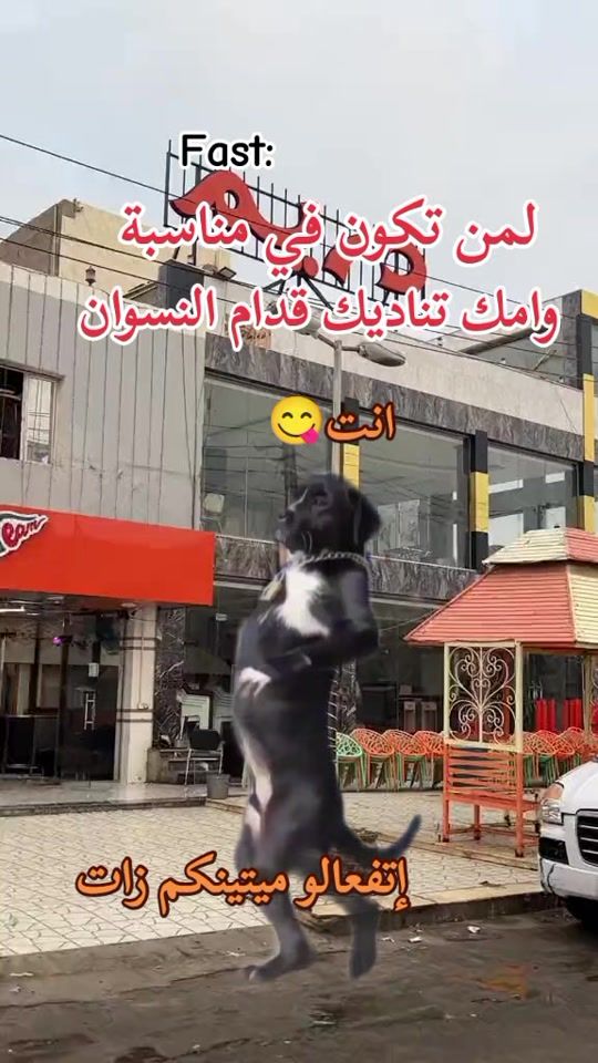 TikTok video thumbnail by dollar21264