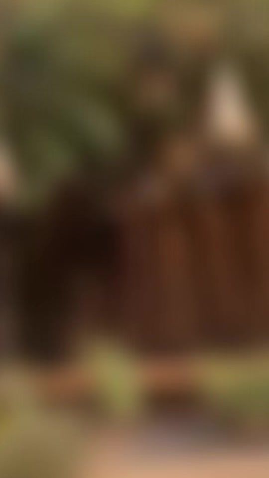 TikTok video thumbnail by olha.na