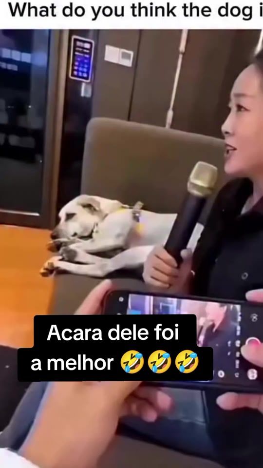 TikTok video thumbnail by sjoseleandro435