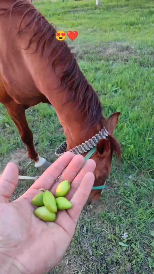 TikTok video thumbnail by ruslan2_02