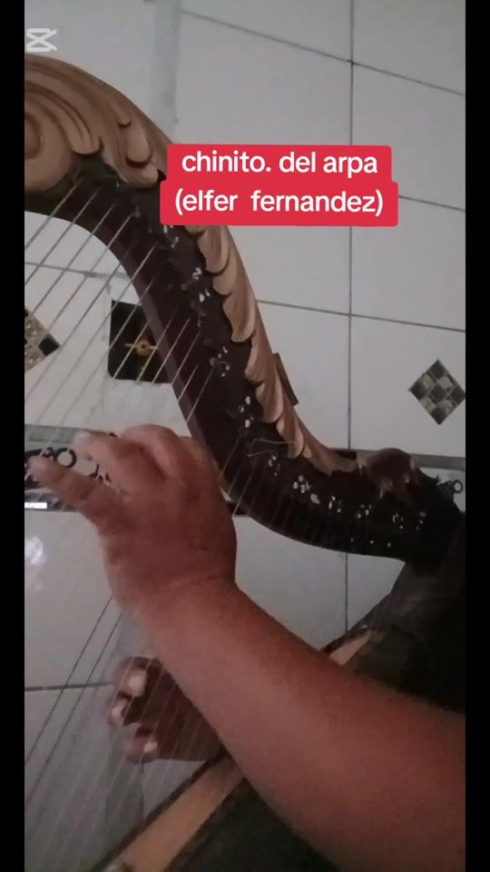 TikTok video thumbnail by elferfernandezter