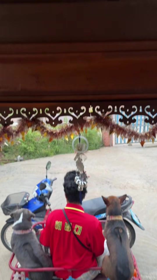 TikTok video thumbnail by _bb.gunz