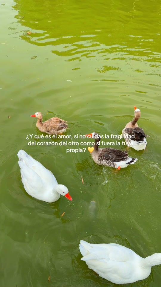 TikTok video thumbnail by boo.459