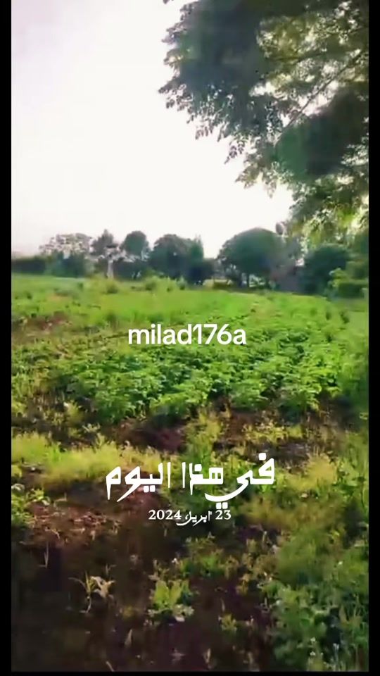 TikTok video thumbnail by milad176a