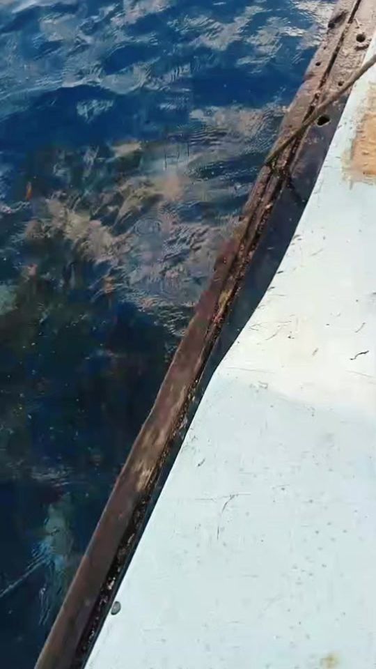 TikTok video thumbnail by rslove500