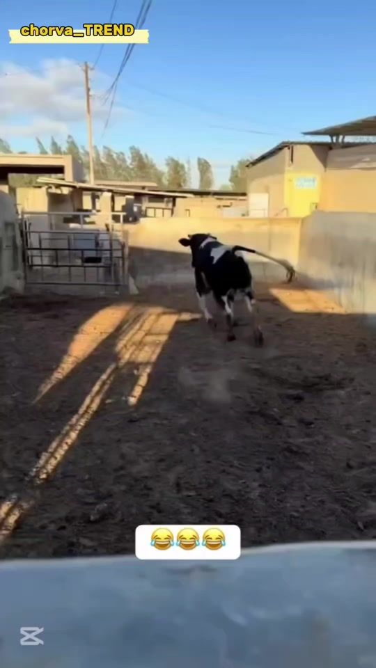 TikTok video thumbnail by chorvatrend