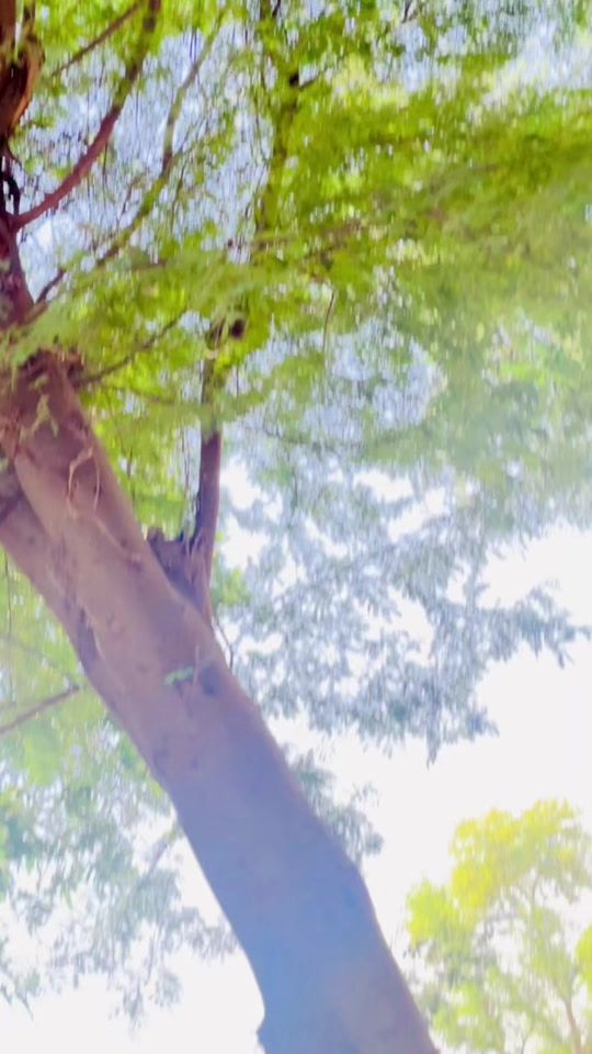 TikTok video thumbnail by usman___abid5